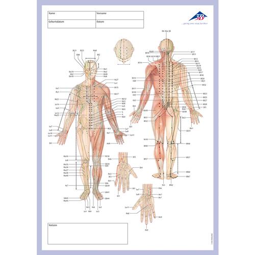 Meridian notepad, 1002440, Acupuncture accessories