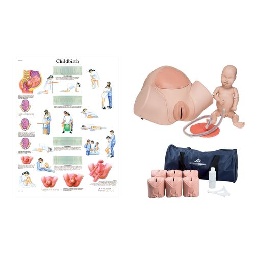 Birthing Simulator & Stages Set, 8000888 [3011953], Simulation Kits