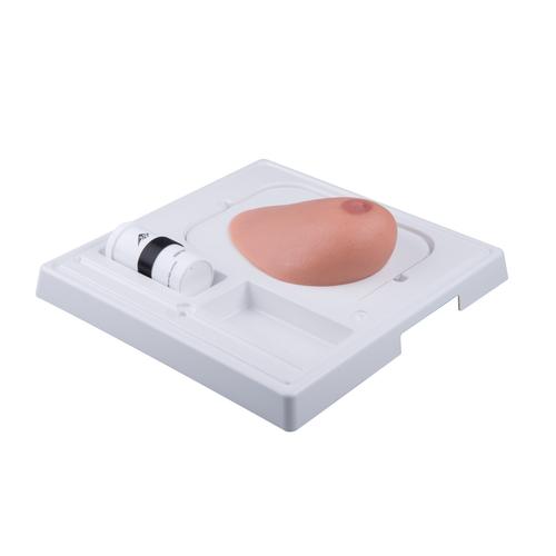 SONOtrain Breast model with tumours, 1019635 [P125], Ultrasound Skill Trainers