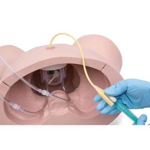 Catheterization Simulator Pro-Male, Light Skin, 1023009 [P93SPC-M], Catheterization