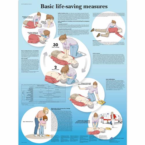 Basic Life Support Chart, 1001616 [VR1770L], BLS and CPR Accessories