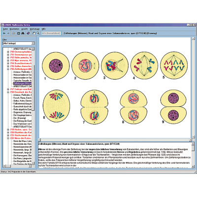 CD with micro images for school series B, 1004270 [W13451], Biology Software
