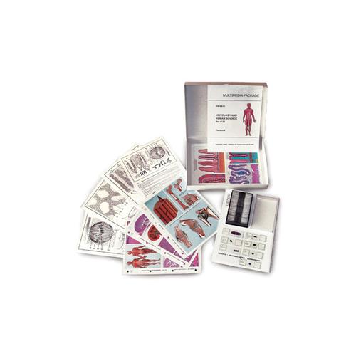 MULTIMEDIA TEACHER PACKAGE Protozoa Basic Package of 8 items, English, 1008719 [W13722-2], Microscope Slides LIEDER
