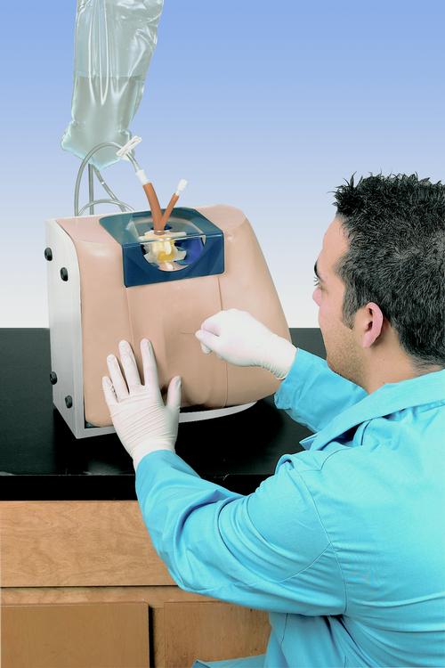 Spinal Injection Simulator, 1005603 [W44031], Epidural and Spinal