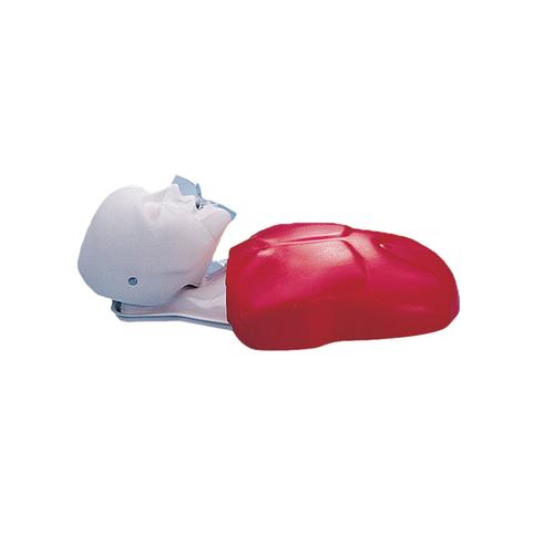 Basic Buddy™ CPR Torso, 1005637 [W44108], BLS Adult