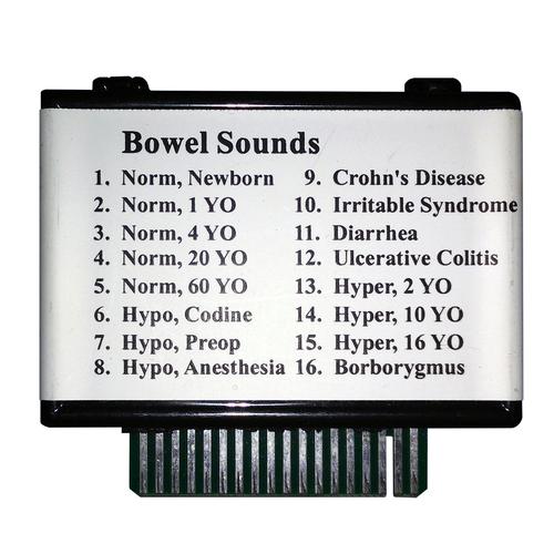 Bowel Sounds for Heart and Breath Sounds Simulator, 1018195 [W49436], Auscultation