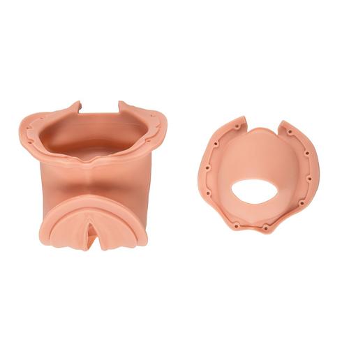 Birth canal and cervix (1x birth canal / 1x cervix), 1020343 [XP90-008], Replacements