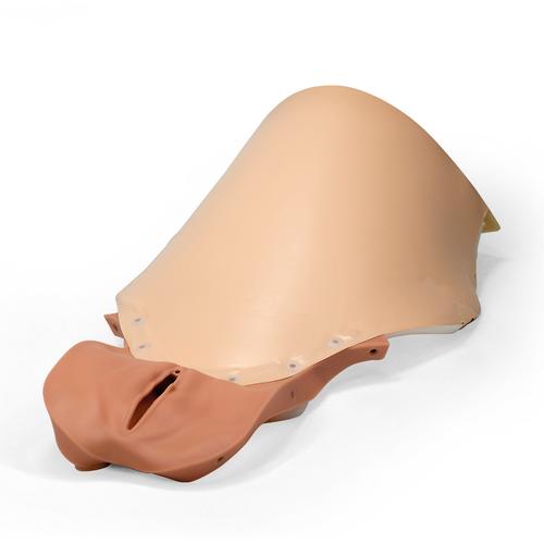Vagina and Abdominal cover for PPH Trainer P97, 1021577 [XP97-004], Obstetrics