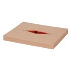 Dehisced Wound Board, light, 1022889, Replacements