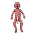 Pre-Term Baby light / male, 1024669, Medical Simulators