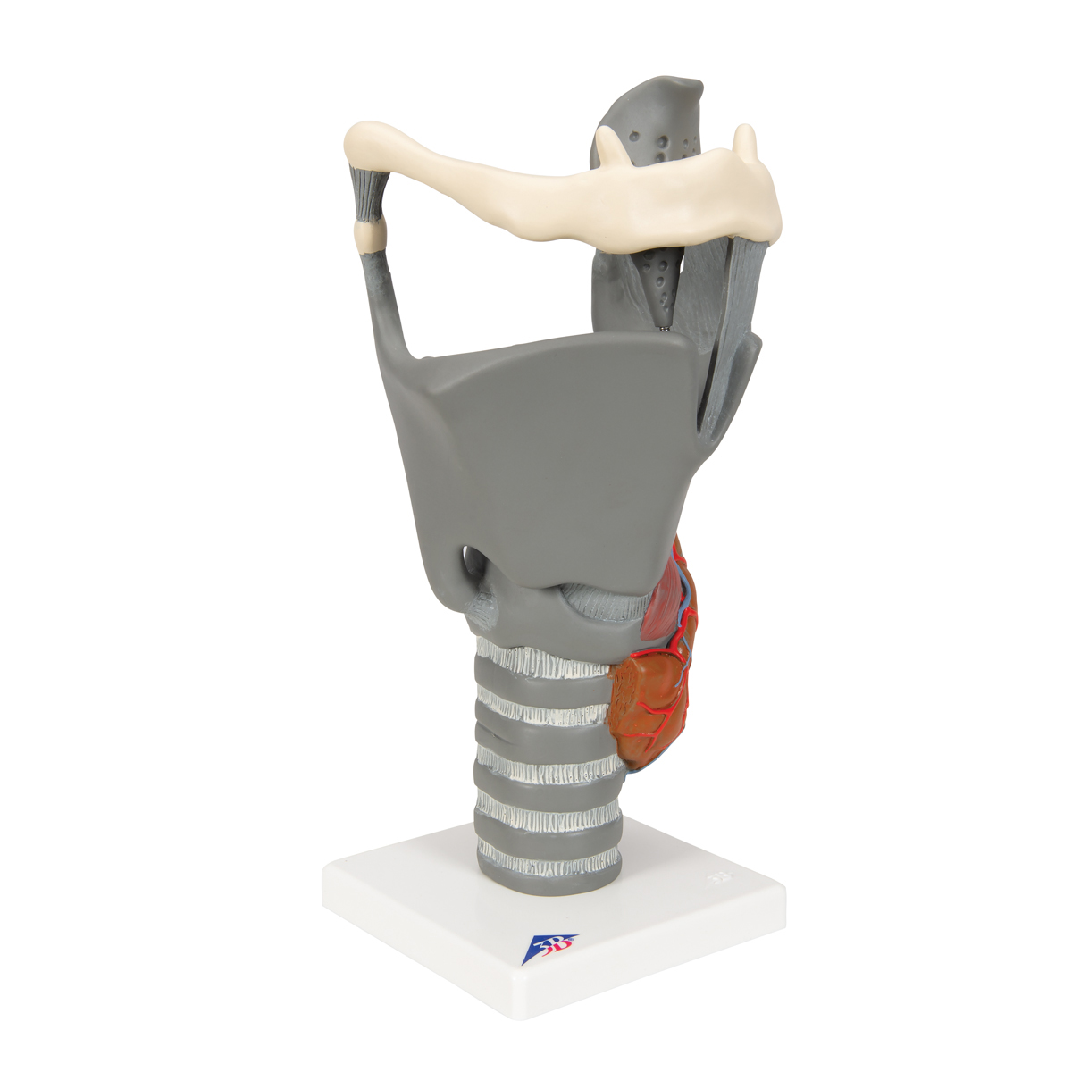 functional ear trainer functional ear trainer