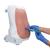 Epidural and Spinal Injection Trainer, Light Skin, 1017891 [P61], Epidural and Spinal (Small)