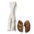 Bovine foot (Bos taurus), specimen, 1021063 [T300311], Osteology (Small)
