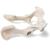 Dog (Canis lupus familiaris), pelvis, 1021062 [T30065], Osteology (Small)