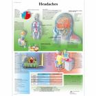 Headaches Chart, 1001604 [VR1714L], Brain and Nervous system