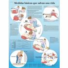 Medidas básicas que salvan, 4006889 [VR3770uu], Emergency and CPR