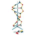 Orbit™ Small DNA, 1005317 [W19820], DNA Models